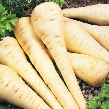 Пастернак Лучший из Всех