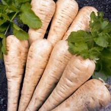 Пастернак Студент