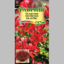 Пеларгония Беатрис (ампельная)