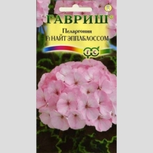 Пеларгония Найт Эплблоссом F1