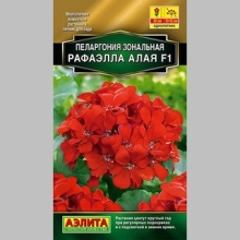 Пеларгония Рафаэлла F1 алая