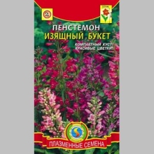 Пенстемон Изящный букет