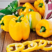 Перец Куб желтый
