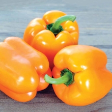 Перец Адмирал Колчак F1