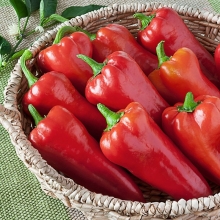 Перец Алая Заря