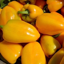 Перец Алтынай