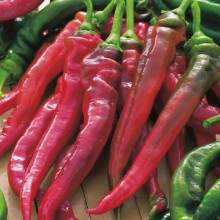 Перец Большой Джим (Big Jim) (большой пакет)