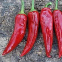 Перец Гигантский Дракон (большой пакет)