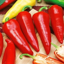 Перец Сакура