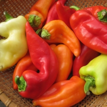 Перец испанский Verano (большой пакет)