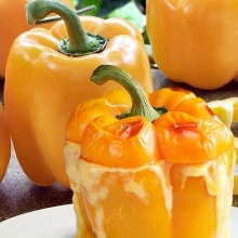 Перец Сатрапо F1