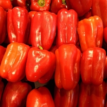 Перец Стопудовый F1