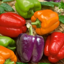 Перец Вкусное лечо смесь