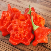 Перец Звонок