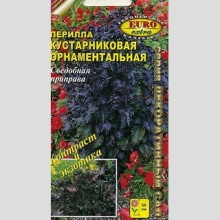 Перилла кустарниковая орнаментальная