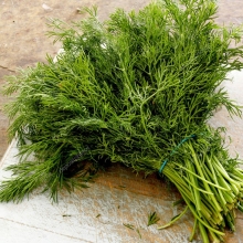 Укроп Первая зелень