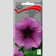 Петуния Дэдди Орхид