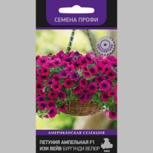 Петуния Изи Вейв F1 Бургунди Велюр (Семена Профи)