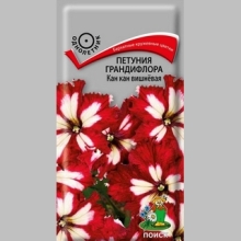 Петуния Кан кан Вишневая F1