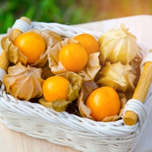 Физалис Десертный