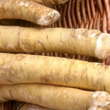 Катран Пикадром