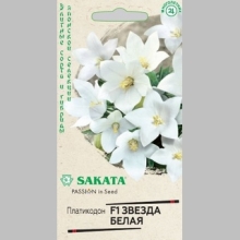 Платикодон Звезда F1 Белая