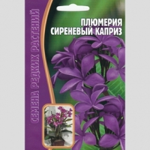 Плюмерия Сиреневый Каприз (большой пакет)