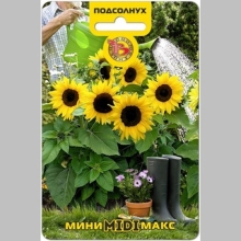 Подсолнух Мини-Макс Миди F1