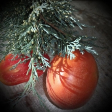 Томат Голубая ель (опушенный)