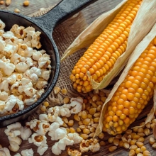 Кукуруза Российская лопающаяся 3