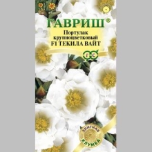 Портулак Текила Вайт F1