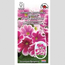 Примула Либре F1 Роуз Пикоти