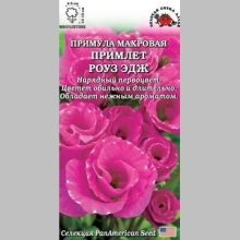 Примула Примлет Роуз Эдж