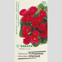 Примула Розанна красная F1 махровая