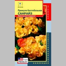 Примула Санрайз бесстебельная (серия Primlet)