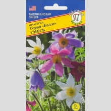 Прострел Беллс Смесь