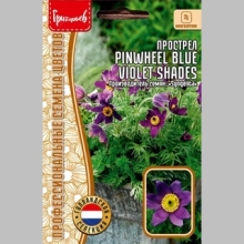 Прострел Pinwheel Blue Violet Shades (большой пакет)