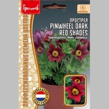 Прострел Pinwheel Dark Red Shades (большой пакет)
