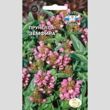 Прунелла Земфира смесь цветов