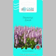 Птилотус Джой