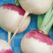 Репа Ранняя Пурпурная