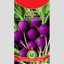 Редис Фиолет