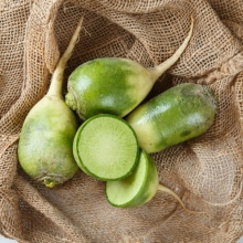 Редька Харбин (лобо)