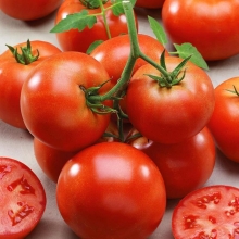 Томат Ретслер F1 (Monsanto Ip Management B.V.)