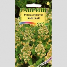 Резеда Хавская душистая