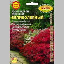 Рододендрон Великолепный японский (большой пакет)