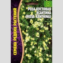 Роза кустовая Ксантина (большой пакет)