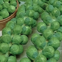 Капуста Розелла