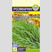 Розмарин Ароматный