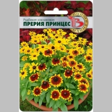 Рудбекия Прерия Принцес карликовая